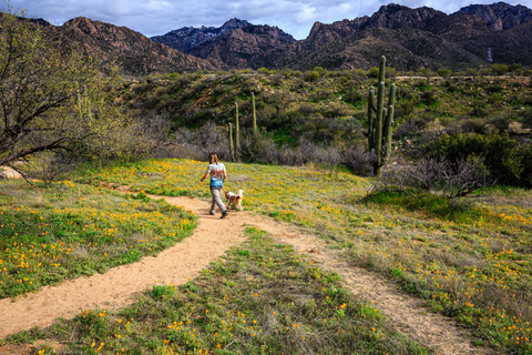 An image depicting the trail Sutherland Trail and its surrounding area.