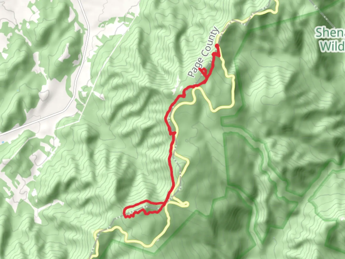 An image depicting the trail Appalachian Trail, Stony Man and Hawksbill Loop and its surrounding area.