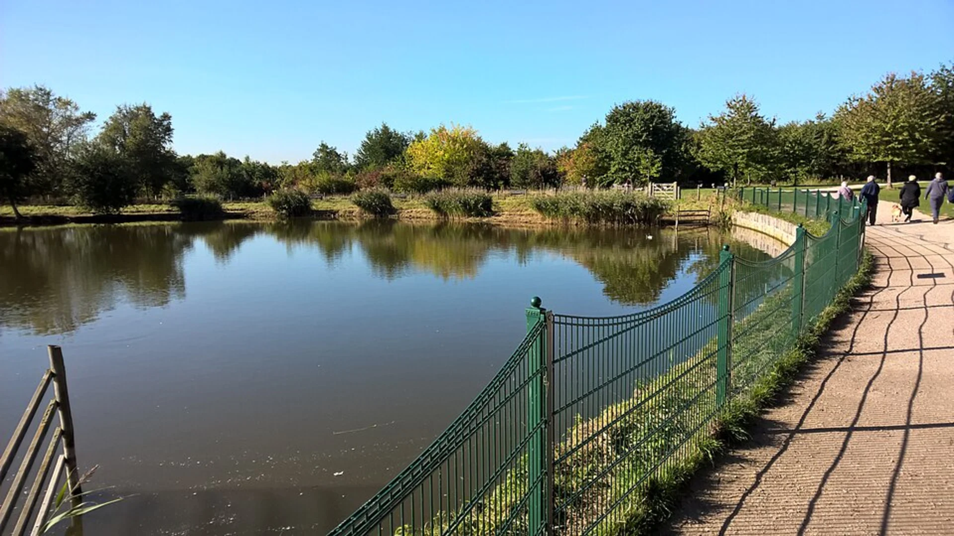 An image depicting the trail Rushcliffe COuntry Park and Lions Centennial Woodland Loop and its surrounding area.