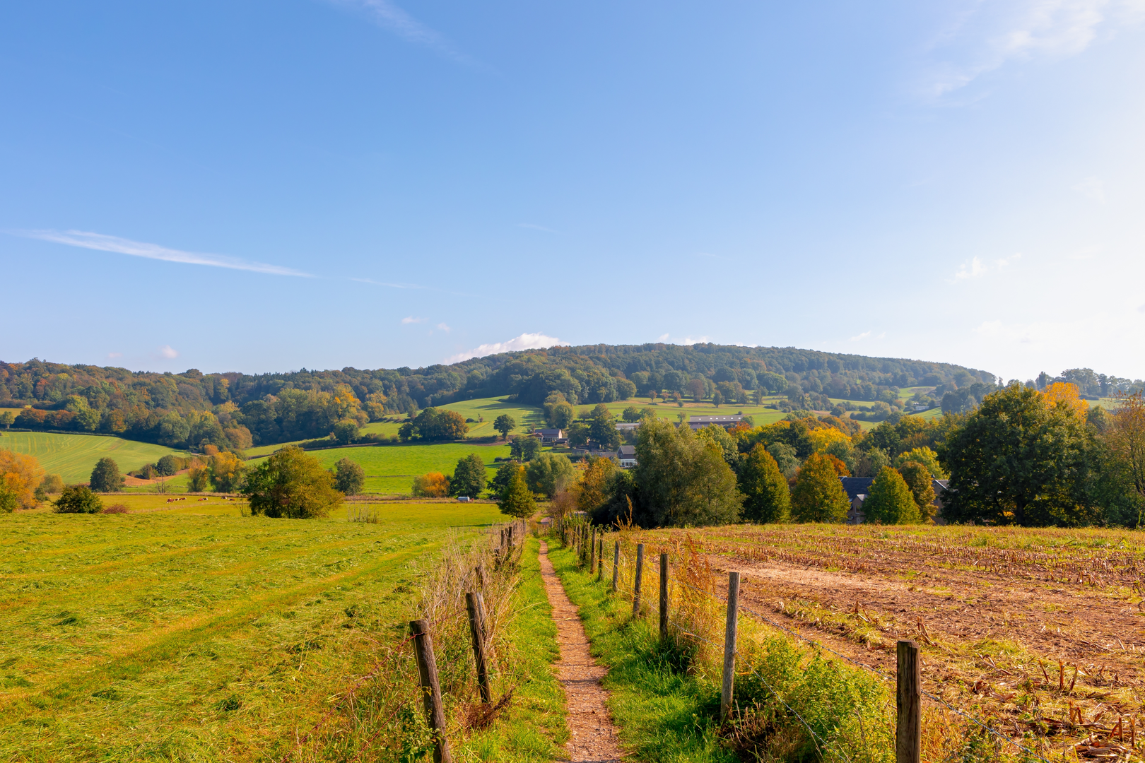 An image depicting the trail Vijlenerbosch, Malenbosch and Oosterberg Loop and its surrounding area.