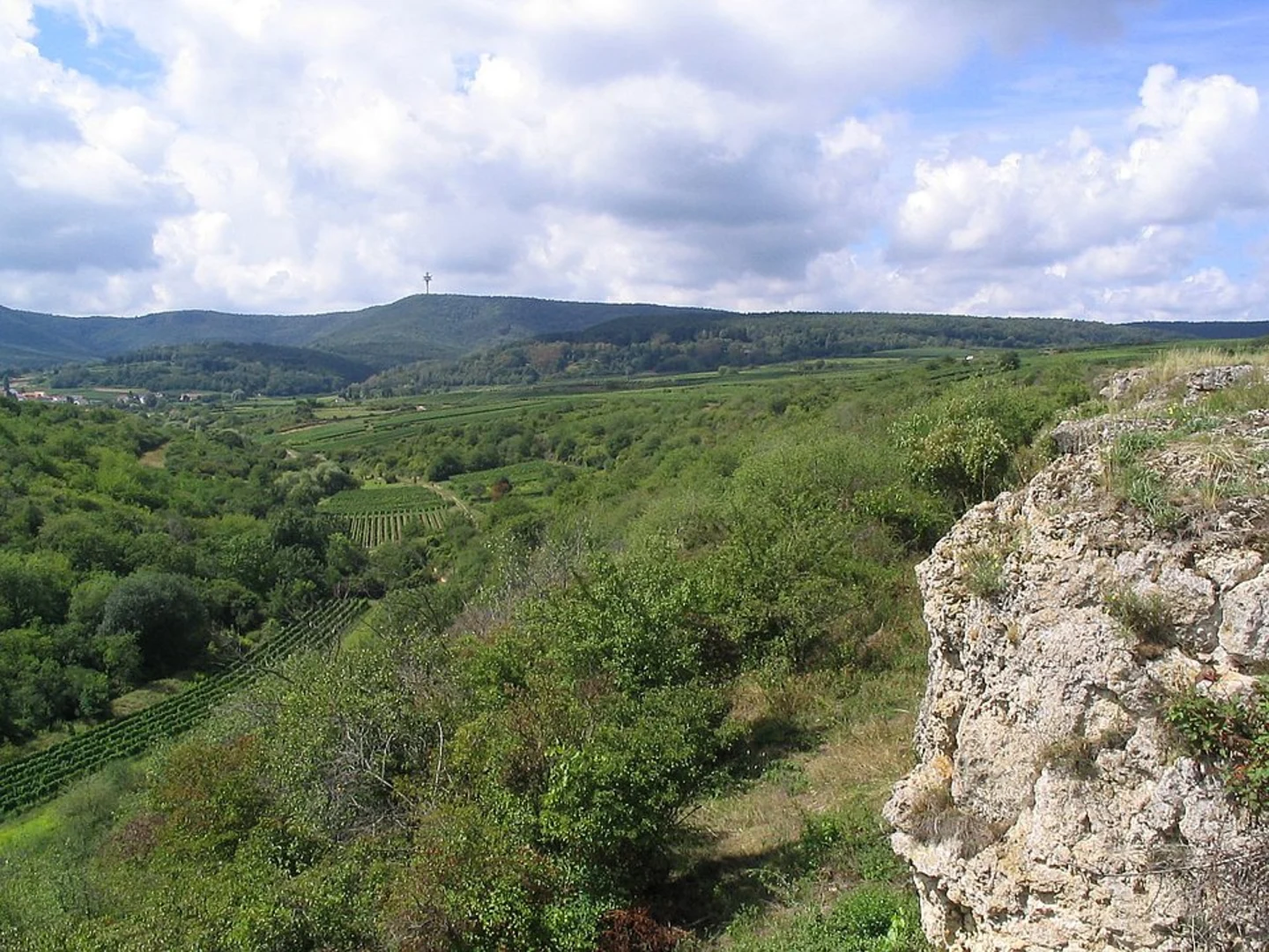 An image depicting the trail Freinsheim to Bad Dürkheim Walk via Freinsheim Schwarzes Kreuz and its surrounding area.