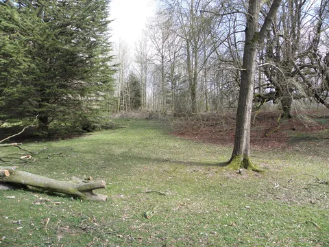 Gosford Forest Park - Boundary Trail