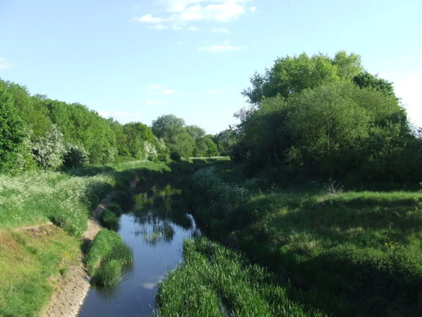An image depicting the trail River Roding and its surrounding area.