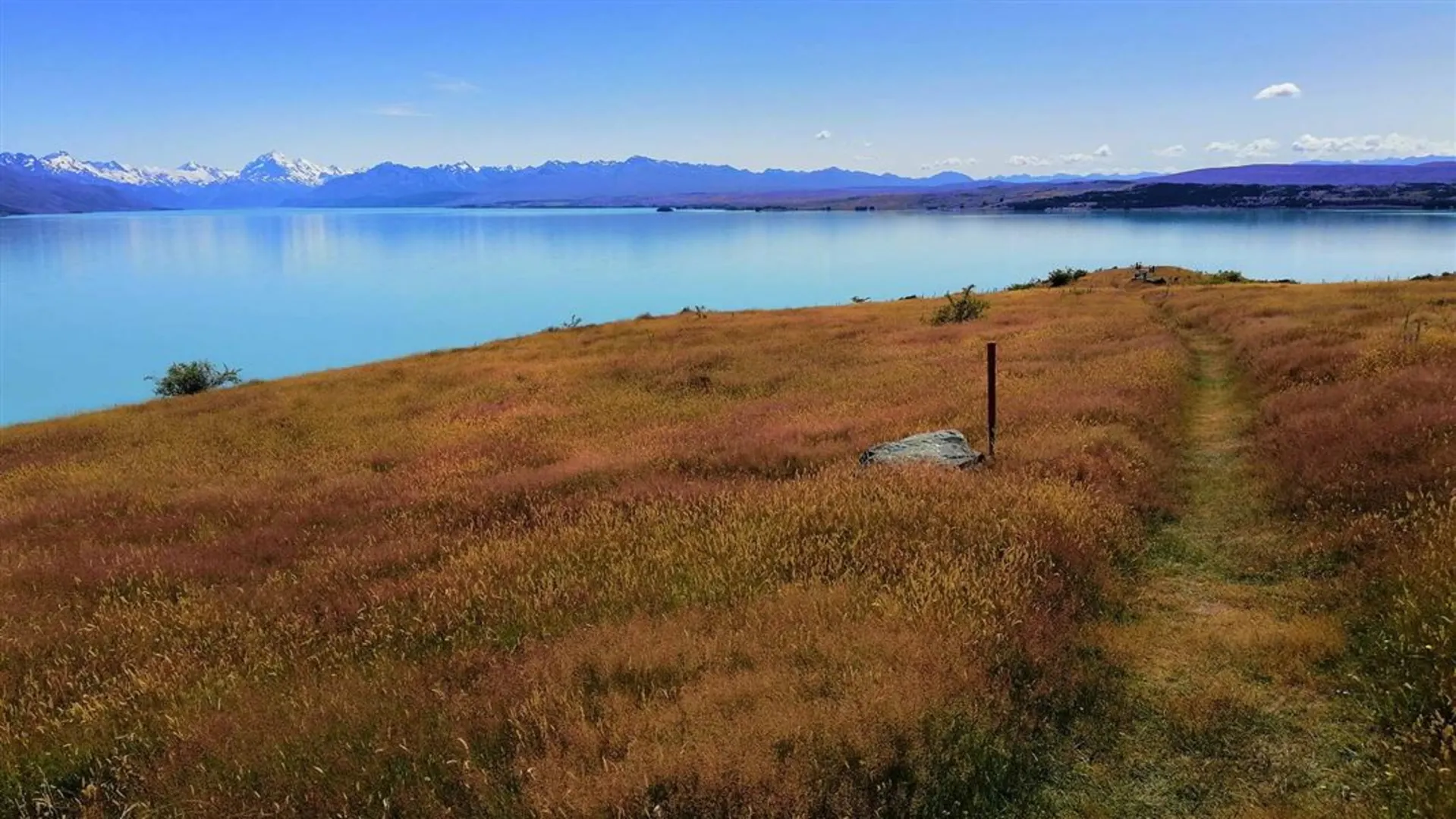 An image depicting the trail Pukaki Kettle Hole Track and its surrounding area.