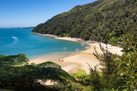 Yellow Point and Cleopatras Pool Trail