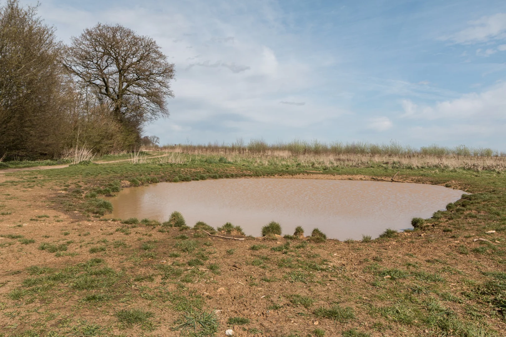 An image depicting the trail Heartwood Forest Loop and its surrounding area.