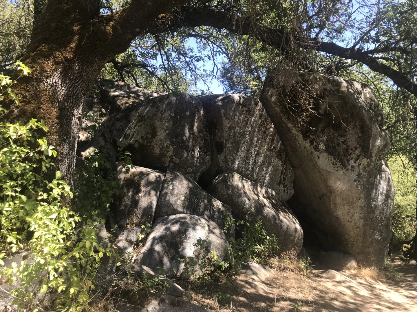 An image depicting the trail Dave Moore Loop Trail and its surrounding area.