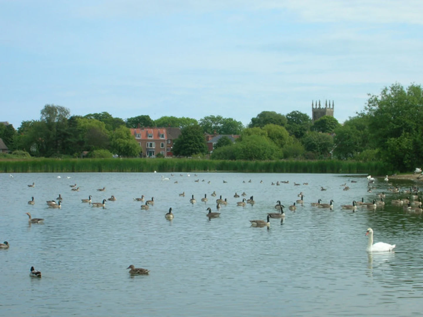 An image depicting the trail Hornsea Mere Walk and its surrounding area.
