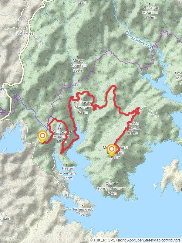 Gallbuster Mountain, Licklog Mountain and Musterground Mountain Walk