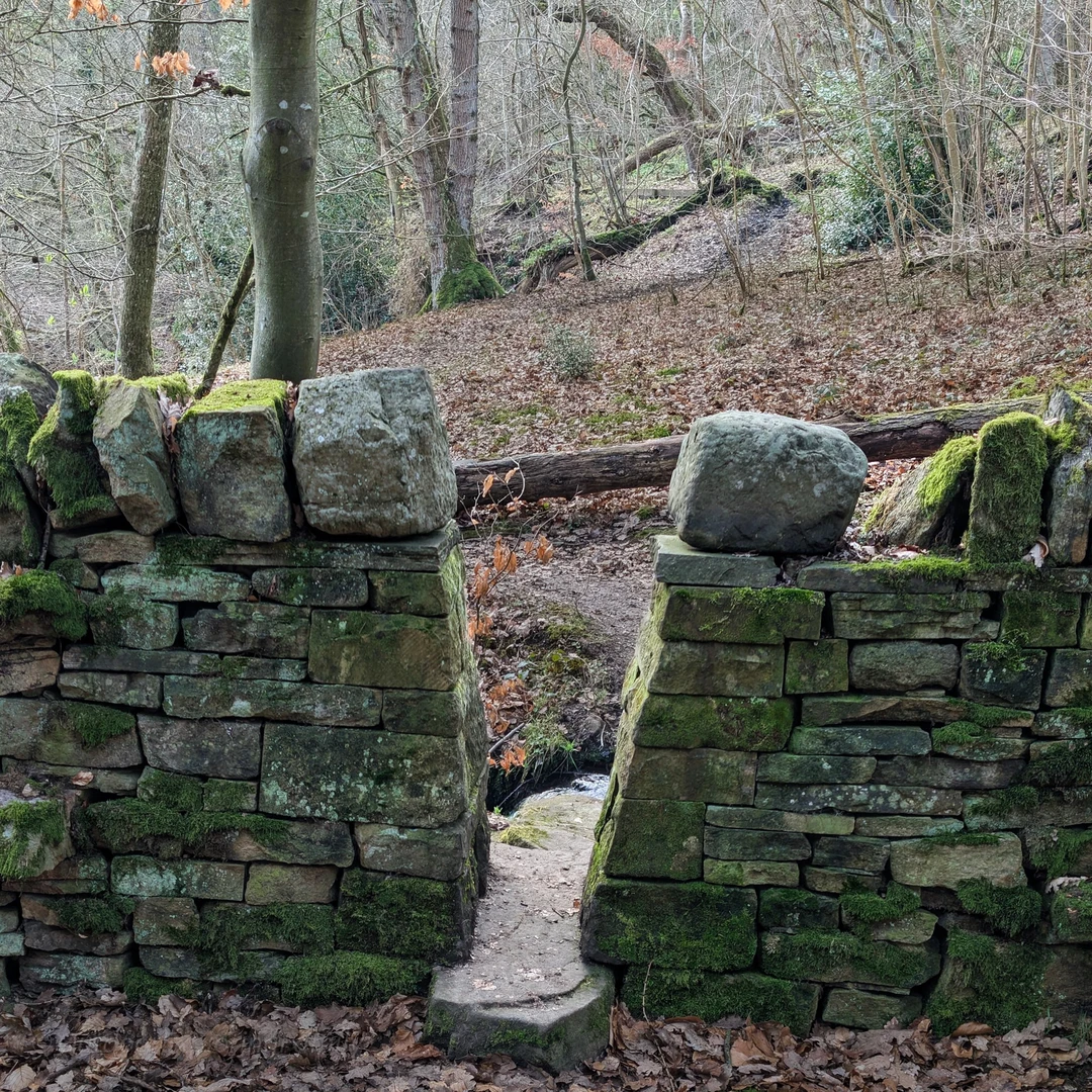 An image depicting the trail Fairy cupboards Romaldkirk and its surrounding area.