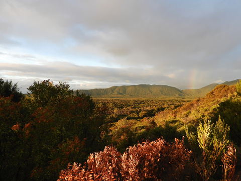 Millers Landing Nature Walk