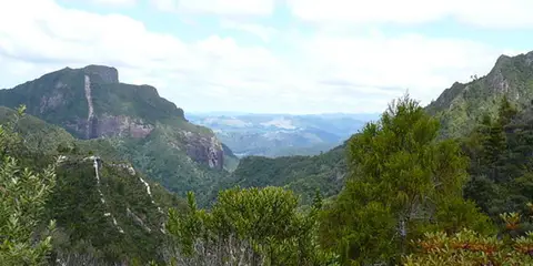 An image depicting the trail The Pinnacles Loop Track and its surrounding area.