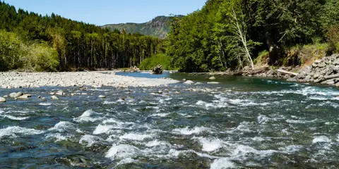 An image depicting the trail Elwha River Trail to Dodger Point and its surrounding area.