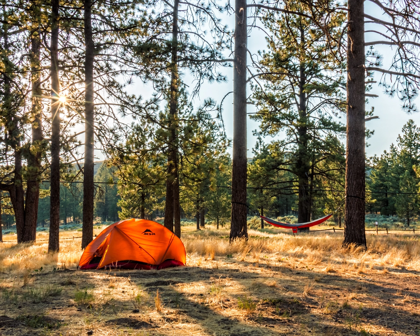 An image depicting the trail Pacific Crest Trail - Burnt Rancheria Campground and its surrounding area.