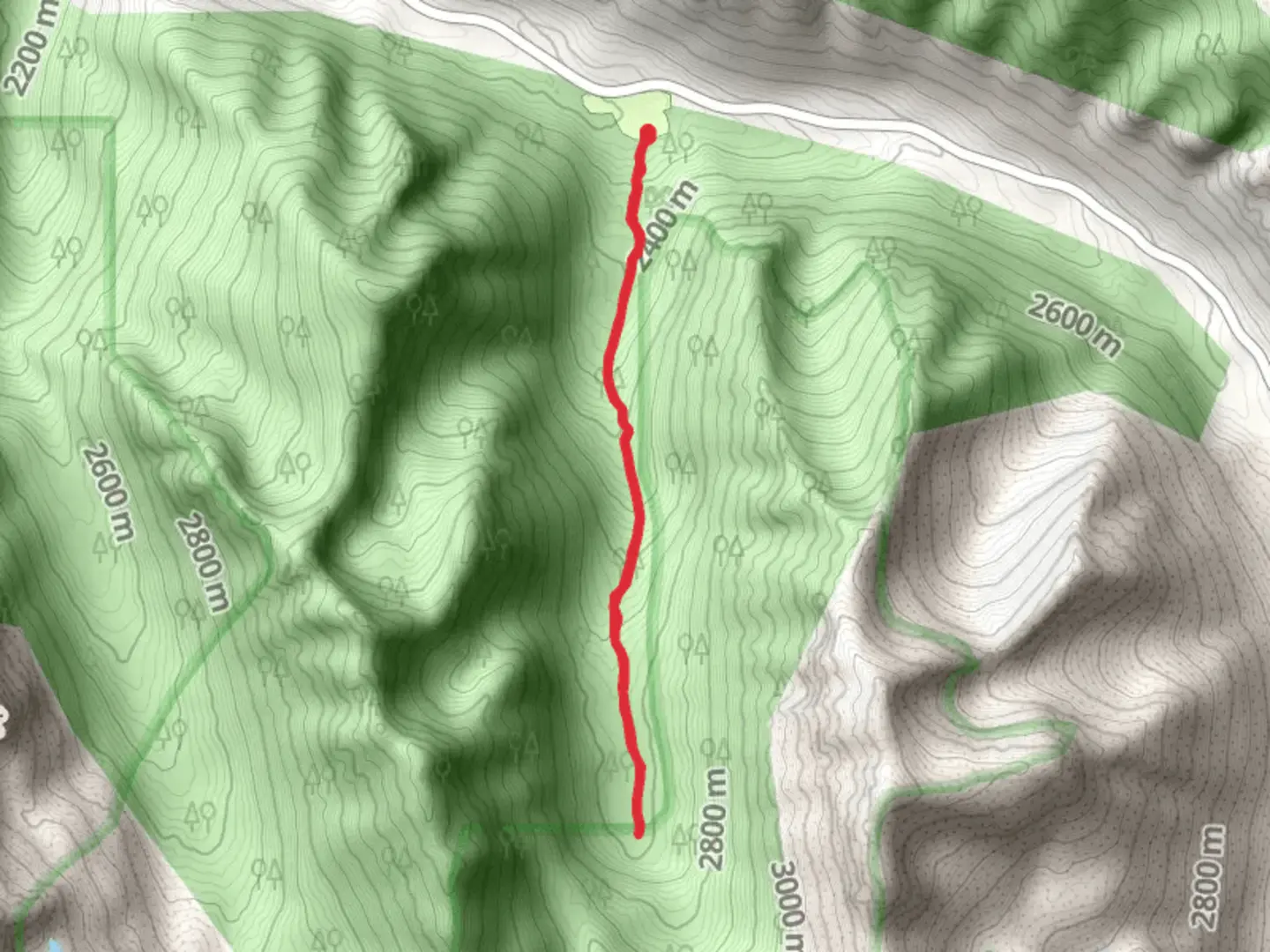 An image depicting the trail Walk along Thomas Creek and its surrounding area.