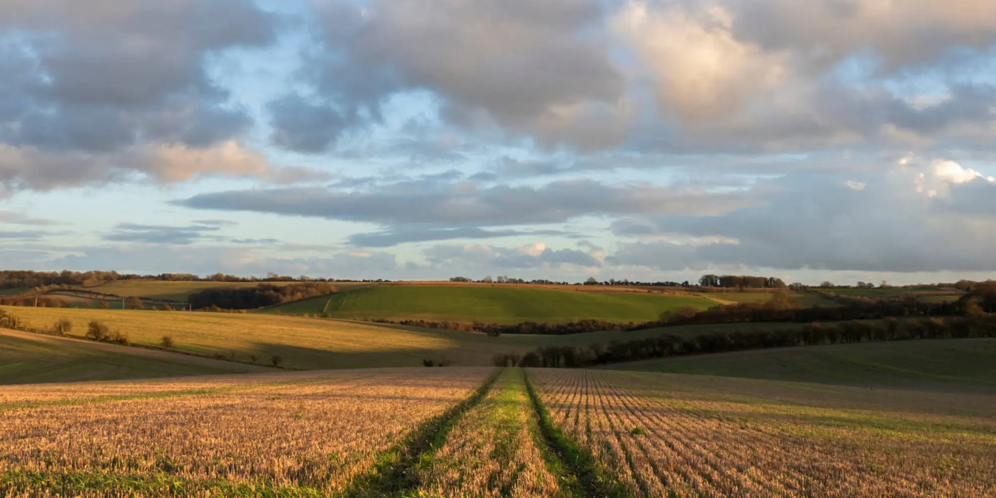 An image depicting the trail West Berkshire Downs from East Garston and its surrounding area.