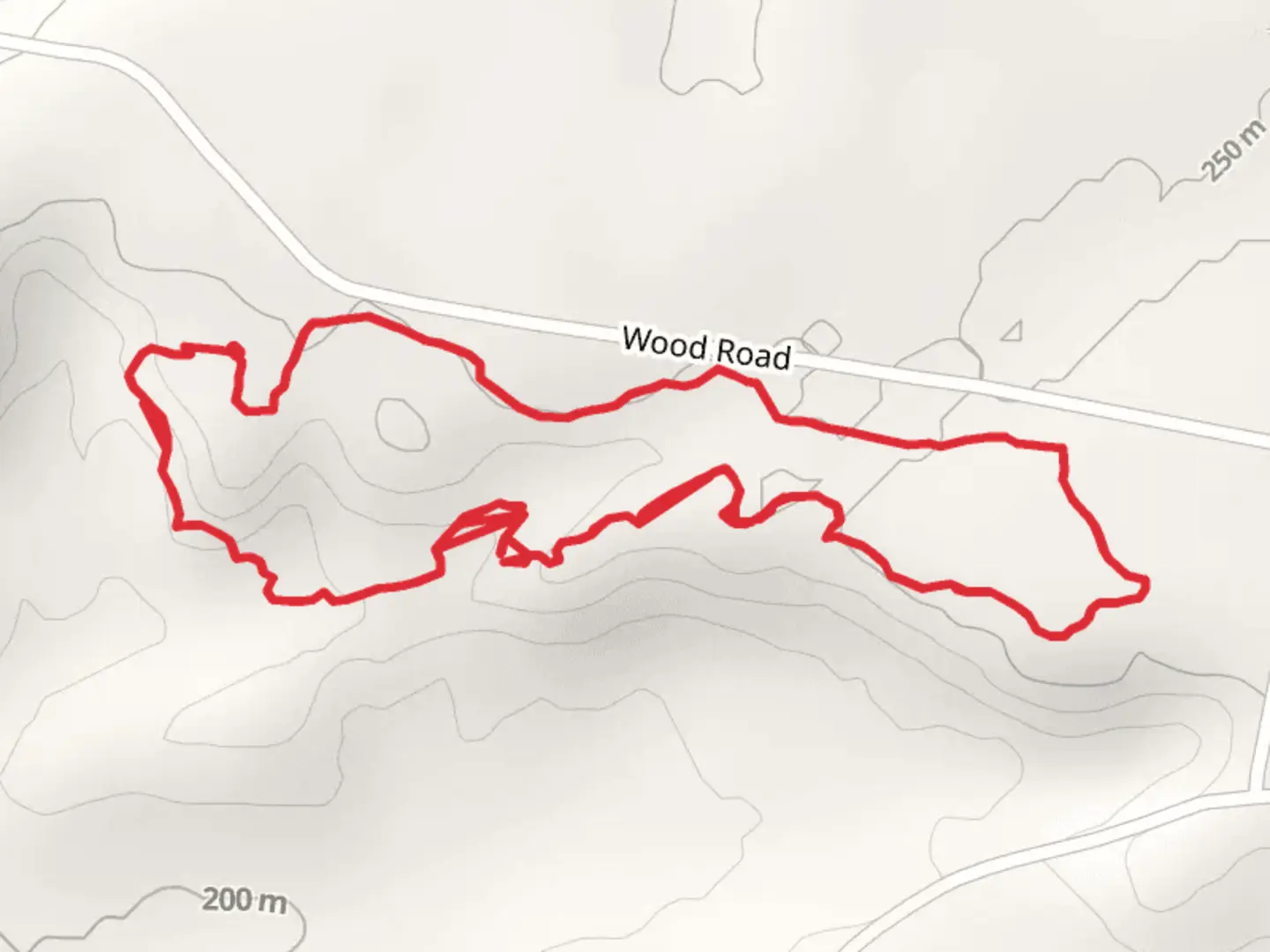 An image depicting the trail Wood Road Loop and its surrounding area.
