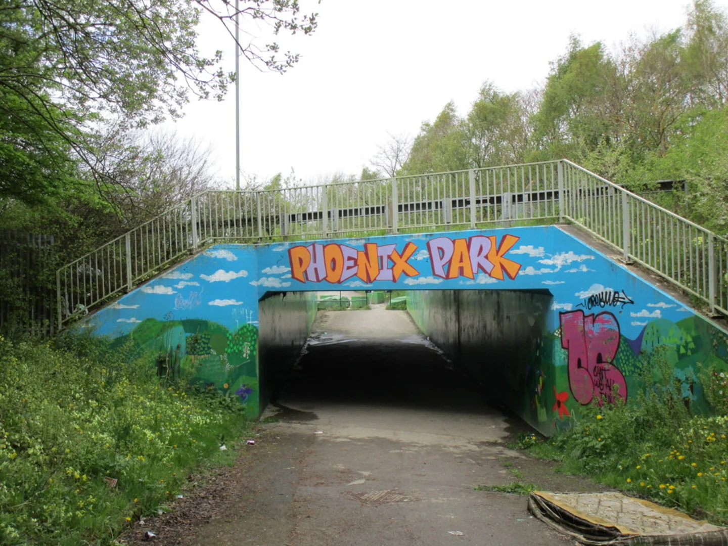 An image depicting the trail Phoenix Park Short Loop and its surrounding area.