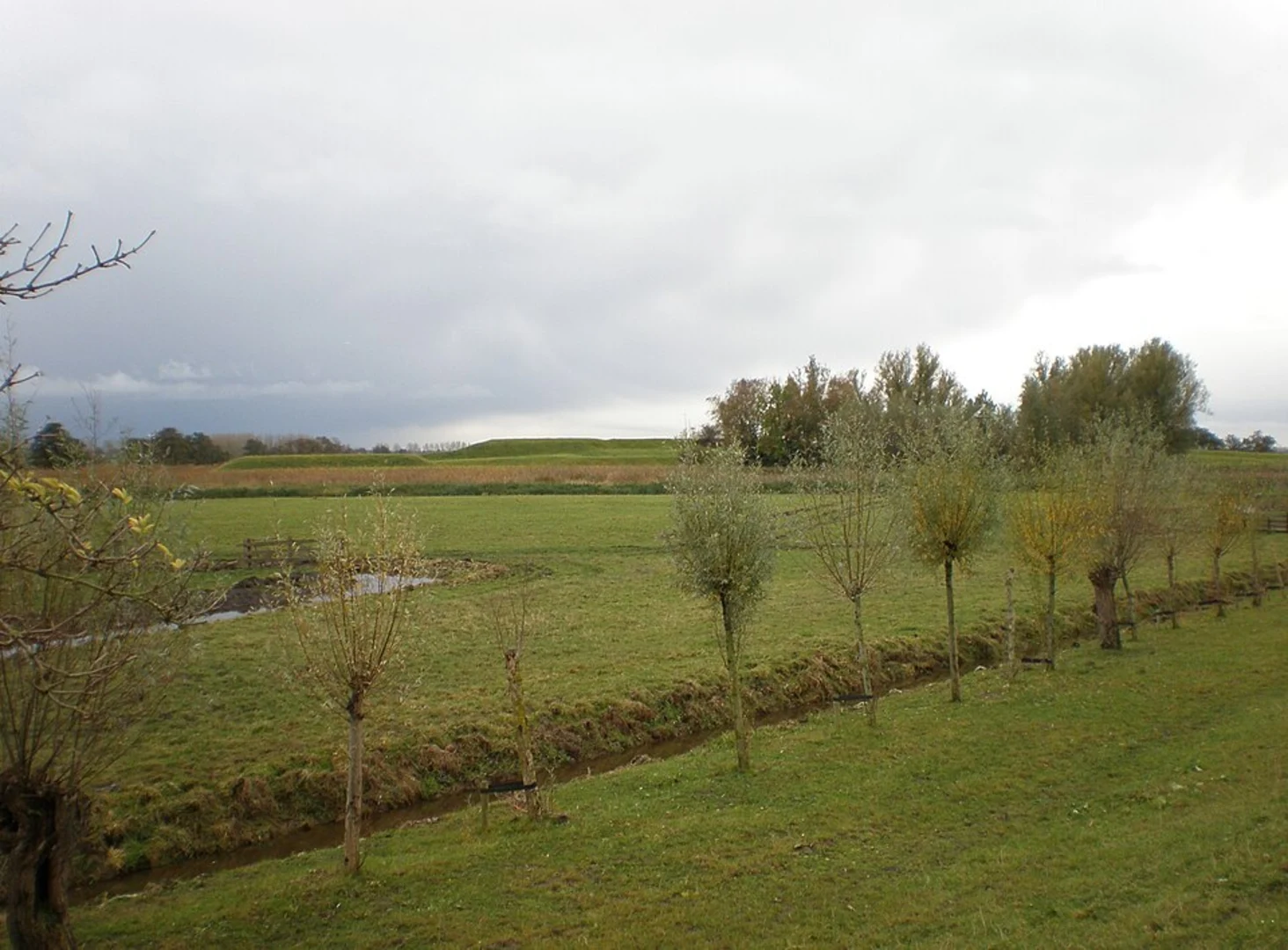 An image depicting the trail Scheidingstocht, Winkel, Klooster Kolk and Groote Wije Loop and its surrounding area.