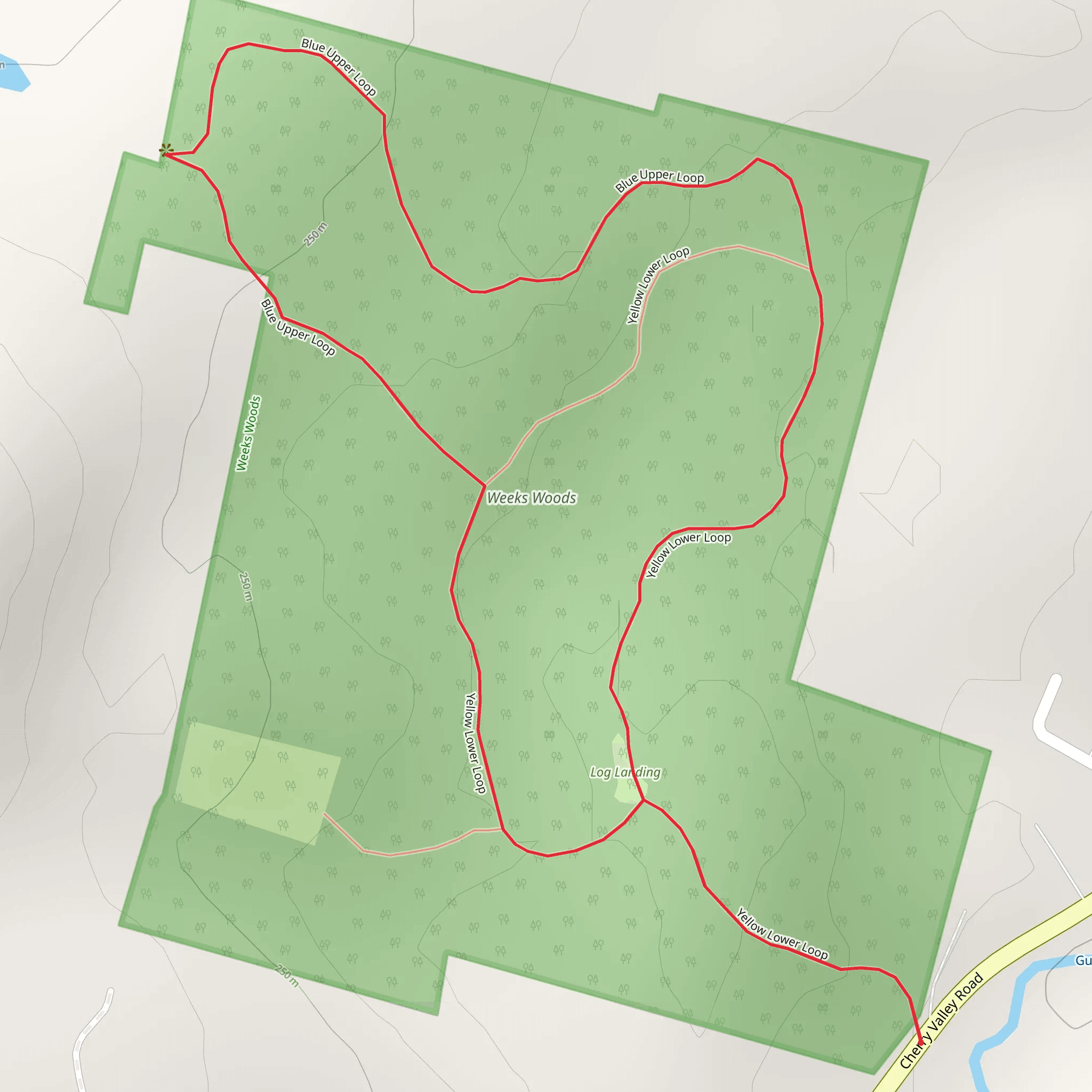 Yellow Lower Loop and Blue Upper Loop Trail - Weeks Woods mobile static map