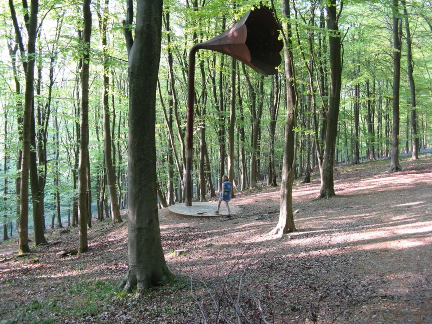 An image depicting the trail King's Wood Kent and its surrounding area.