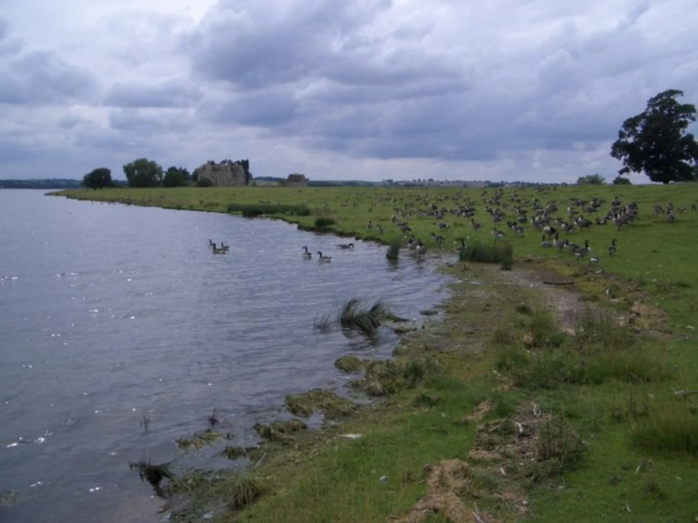 An image depicting the trail Upper Hambleton and Rutland Water Loop and its surrounding area.