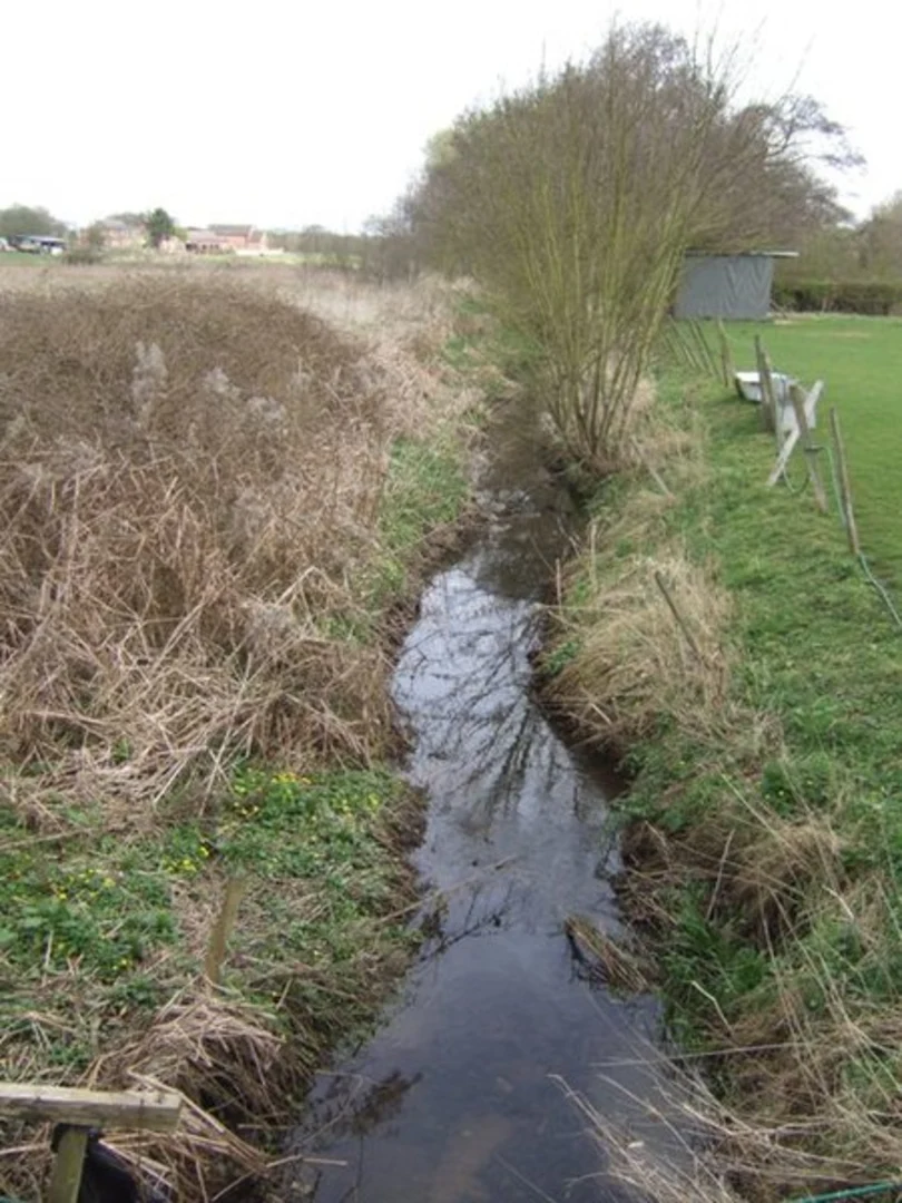 An image depicting the trail Codsall Wood and its surrounding area.