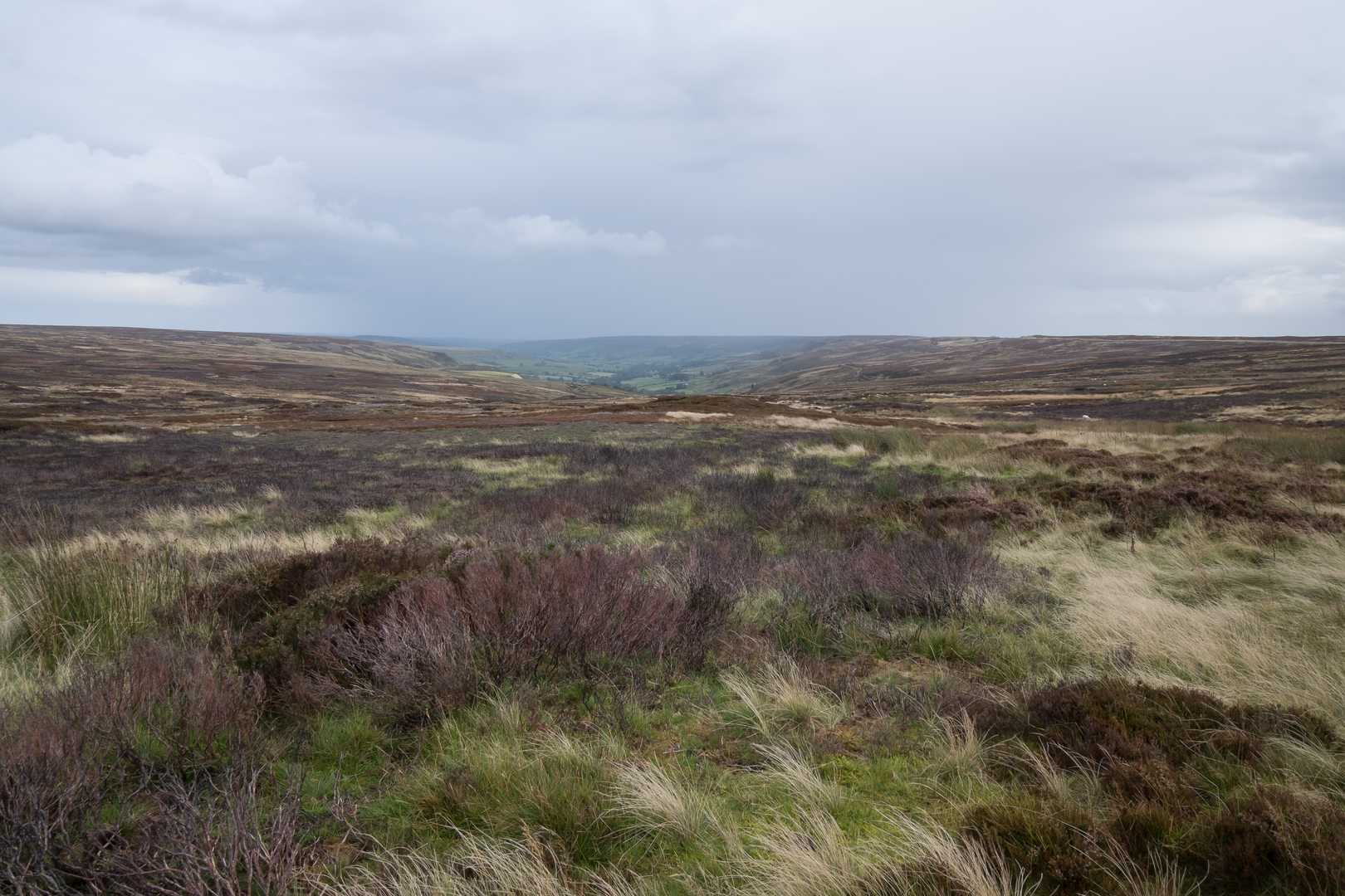An image depicting the trail Rosedale Walk and its surrounding area.