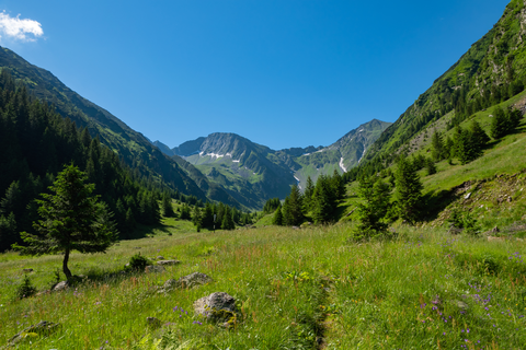 An image depicting the trail Moldoveanu Peak Loop and its surrounding area.
