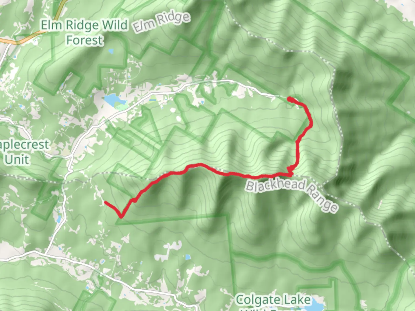 An image depicting the trail Thomas Mountain and Caudal and its surrounding area.