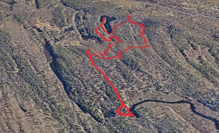 Black Creek State Forest