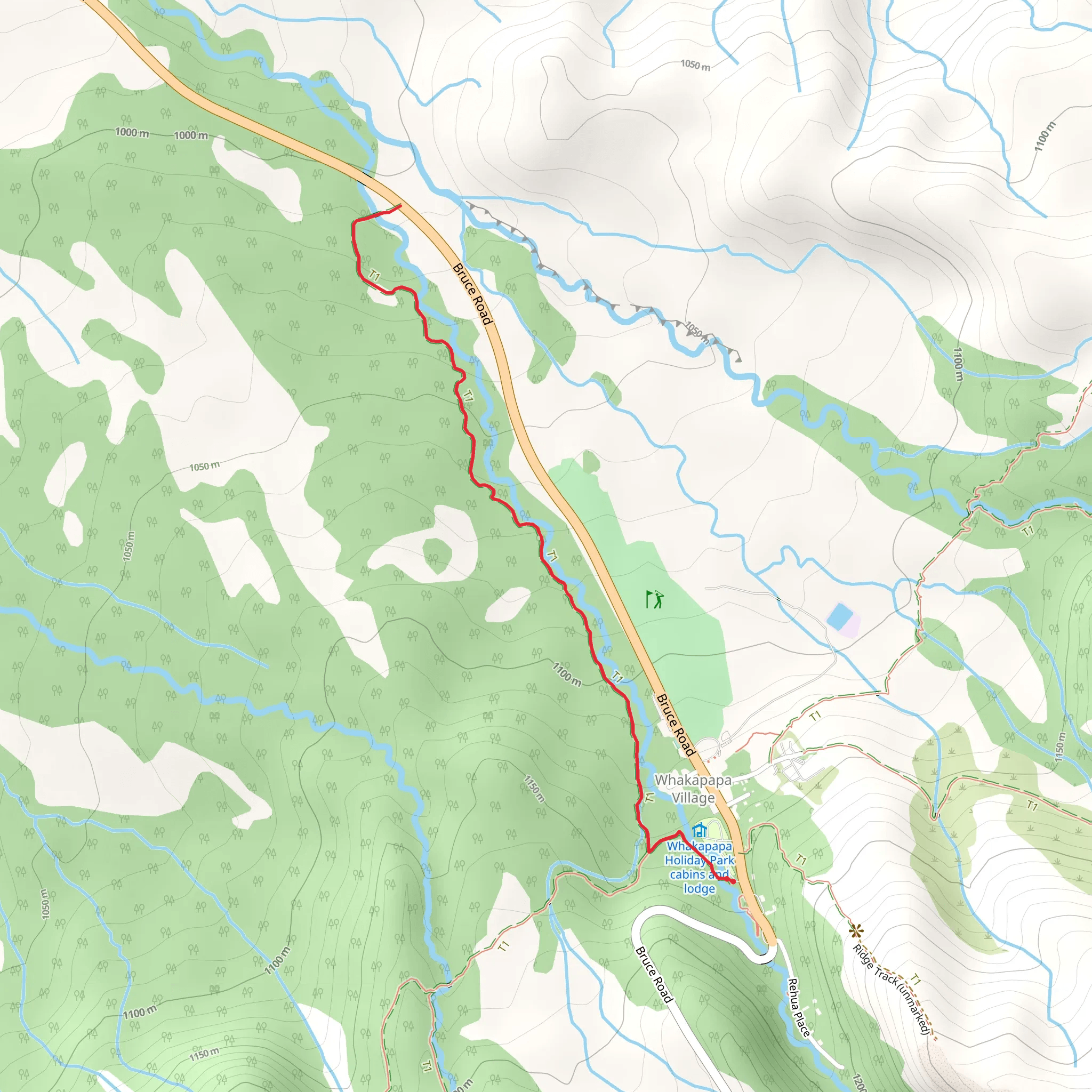 Whakapapanui Walking Track mobile static map