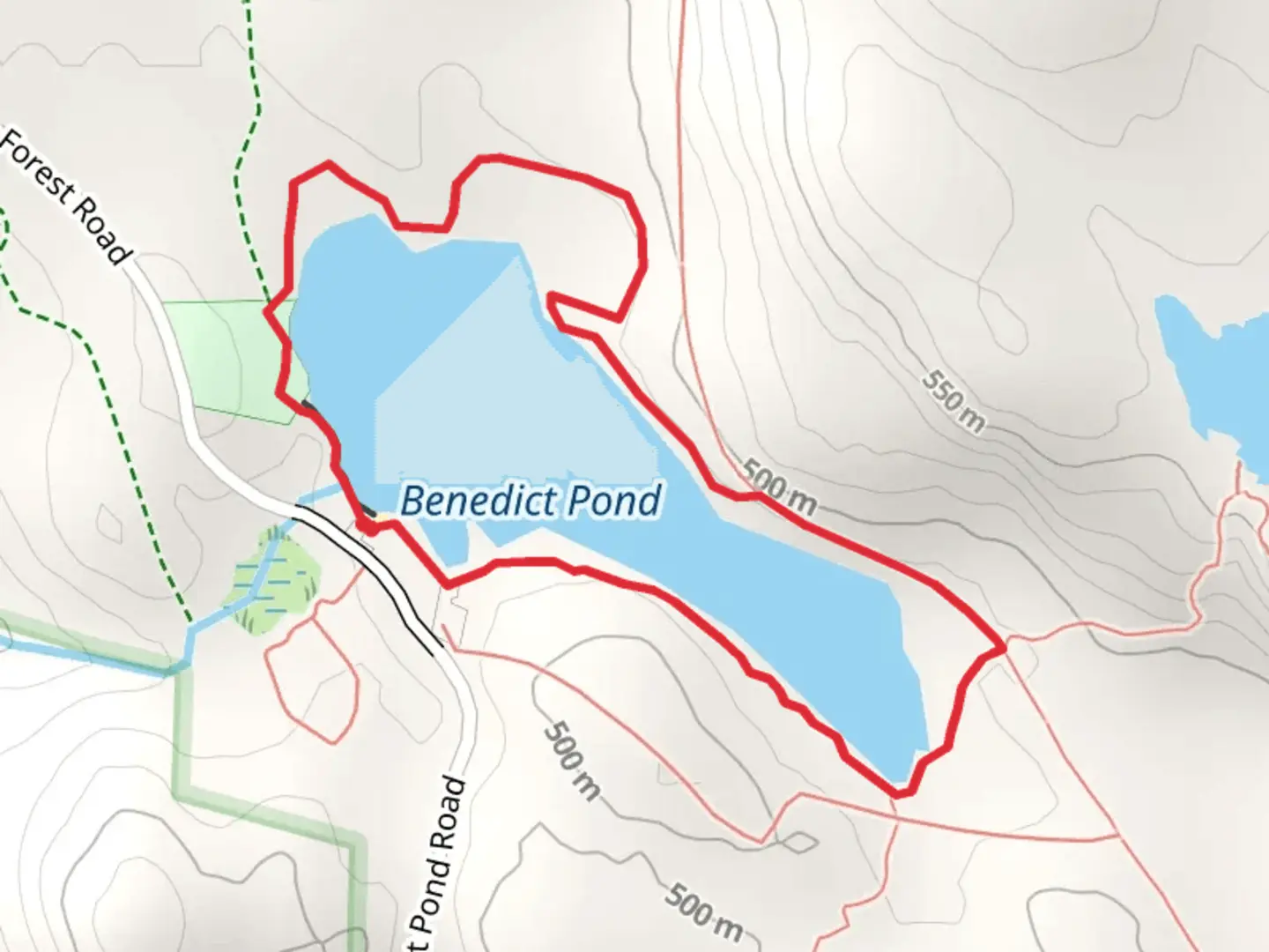 An image depicting the trail Benedict Pond Loop Trail and its surrounding area.