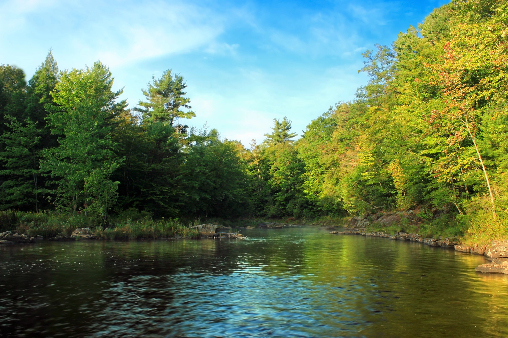 An image depicting the trail Tobyhanna Creek - Austin T Blakeslee Natural Area Loop and its surrounding area.