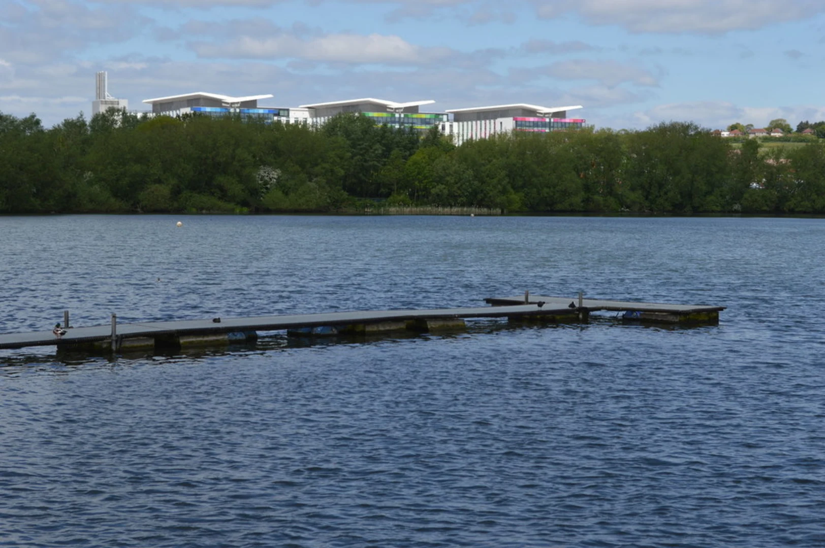 An image depicting the trail King's Mill Reservoir Loop and its surrounding area.