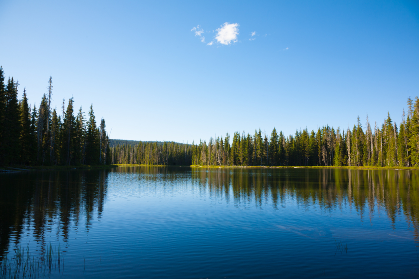 An image depicting the trail Lucky Lake via Senoj Lake Trail and its surrounding area.