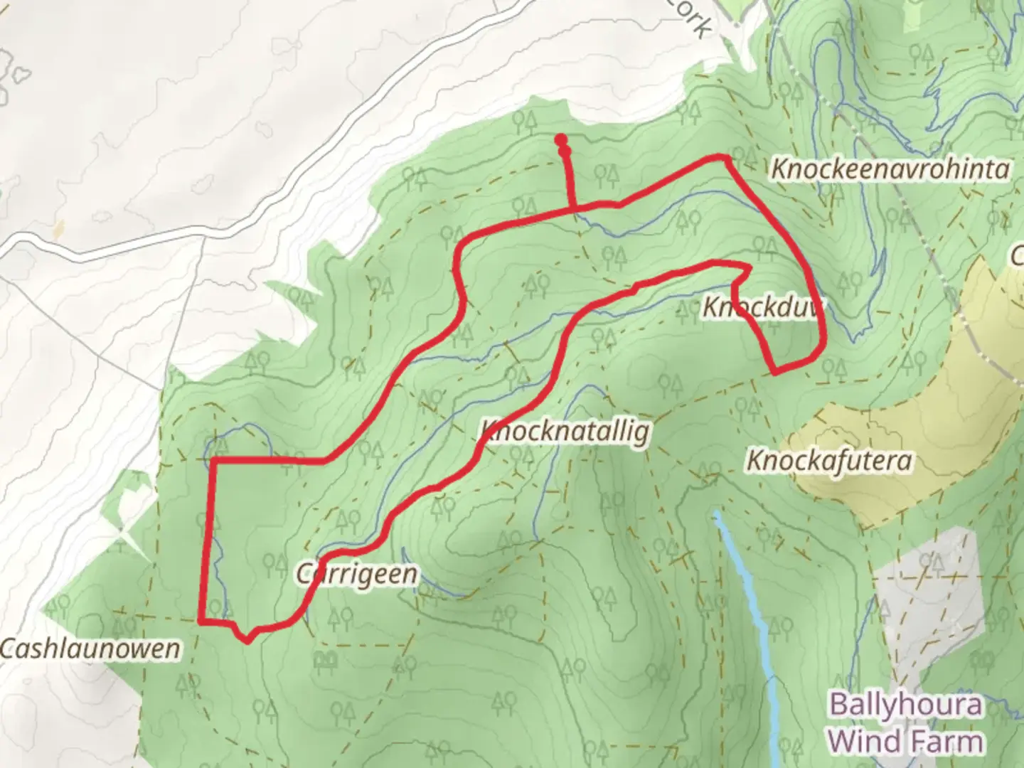 An image depicting the trail Ballinaboola Loop and its surrounding area.