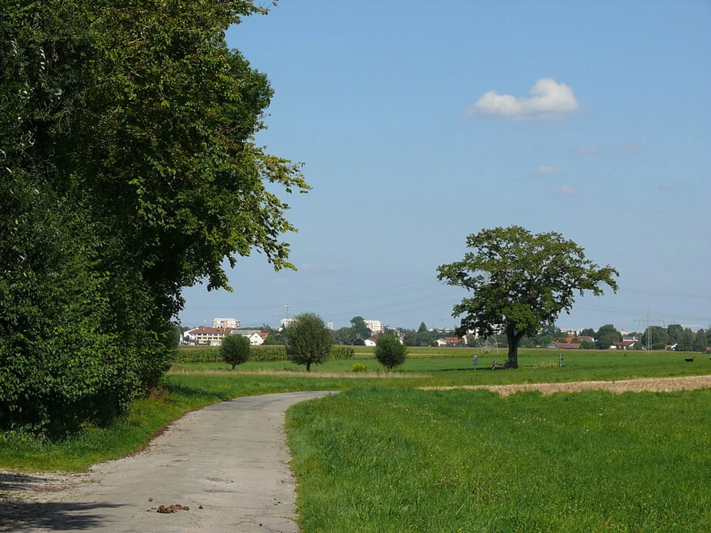 An image depicting the trail Dhrontal Wackentour Loop and its surrounding area.