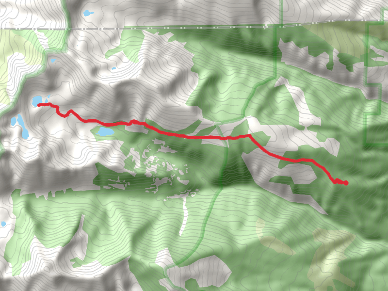 Duffy Lake via Holloway Lake Trail
