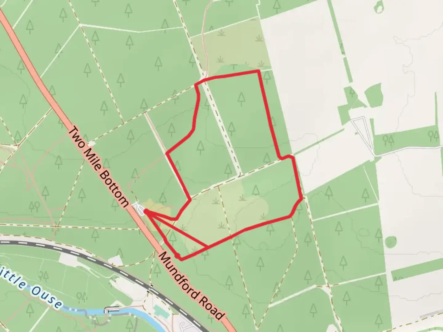 An image depicting the trail Yellow Route Loop and its surrounding area.