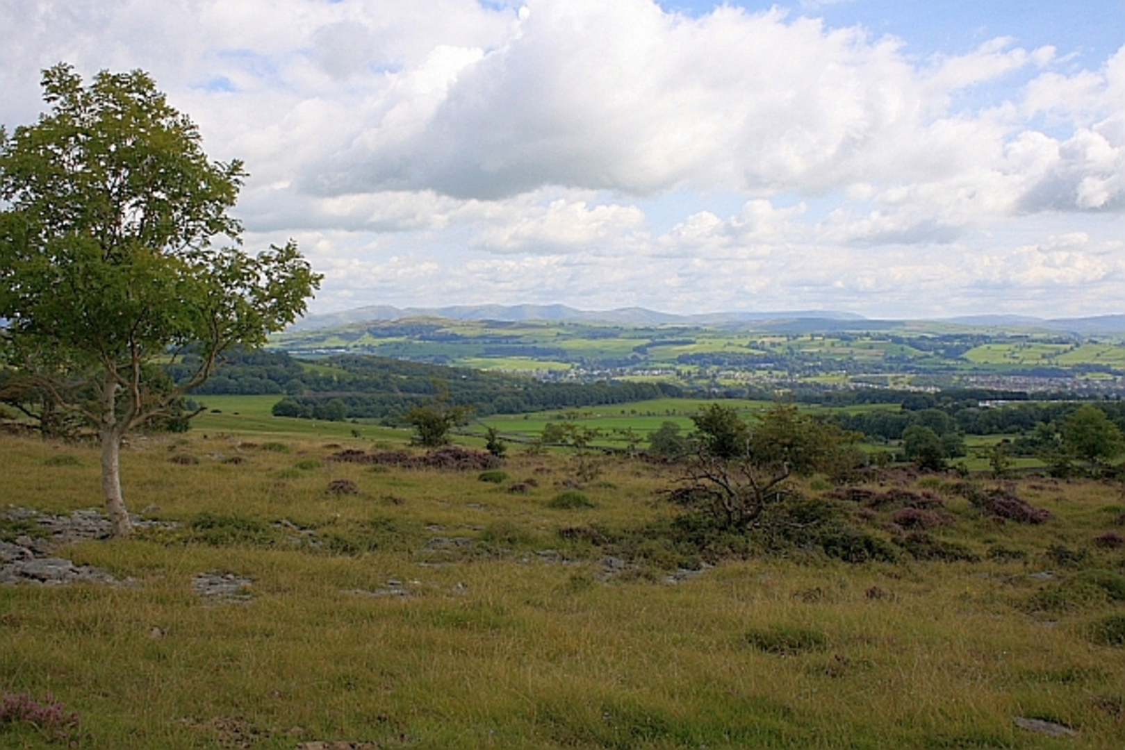 An image depicting the trail Barrowfield Wood from Crook to Kendal and its surrounding area.