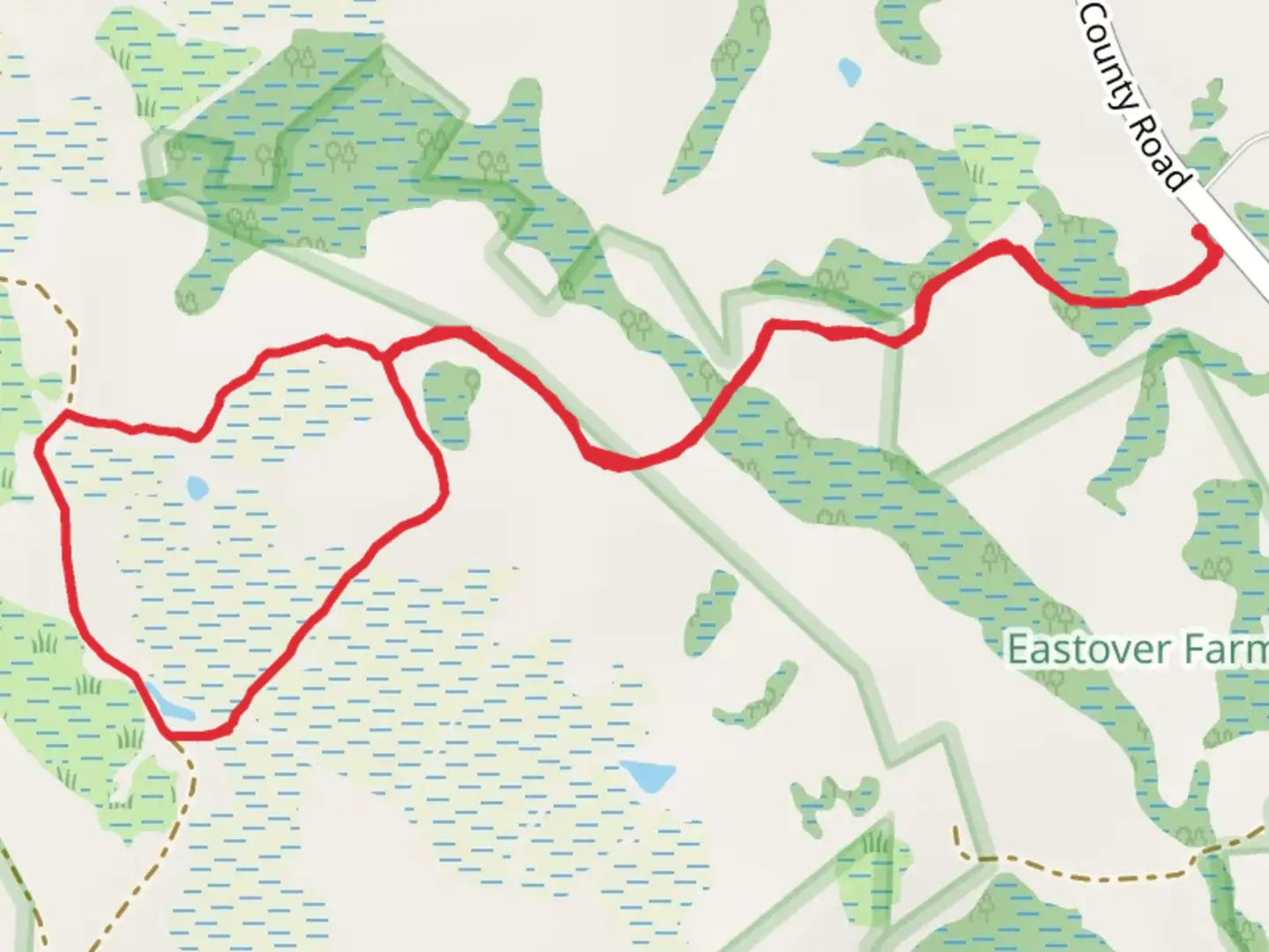 An image depicting the trail County Road Loop and its surrounding area.