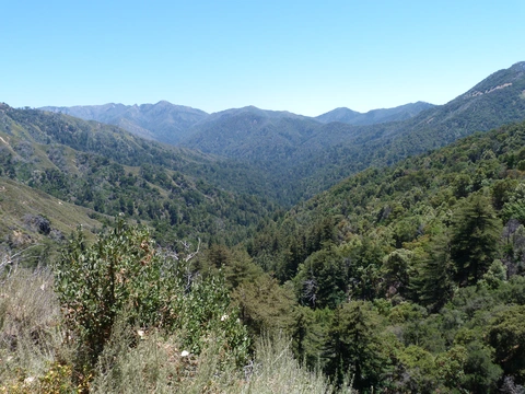 Pine Ridge Trail, Carmel River Trail and Miller Canyon Trail Loop