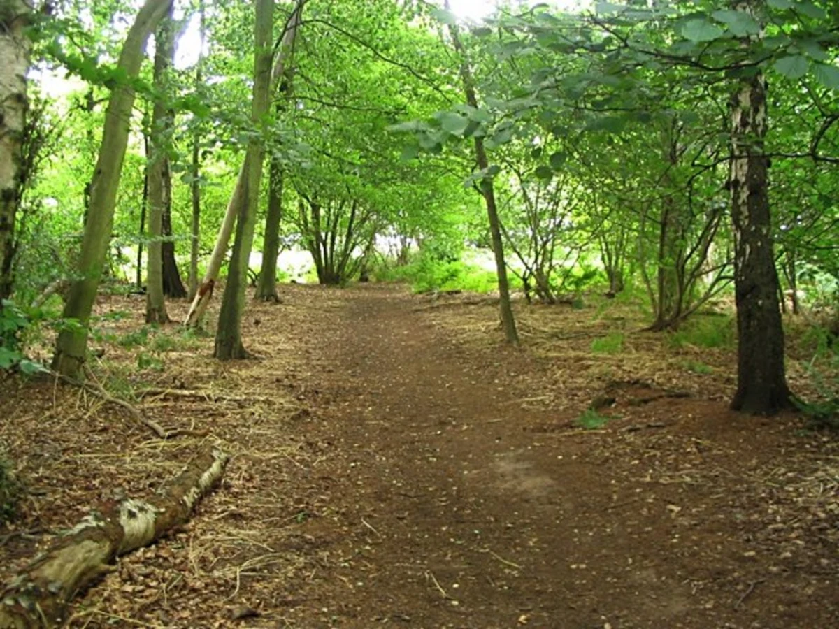Meriden Shafts and Boultbee's Wood Loop