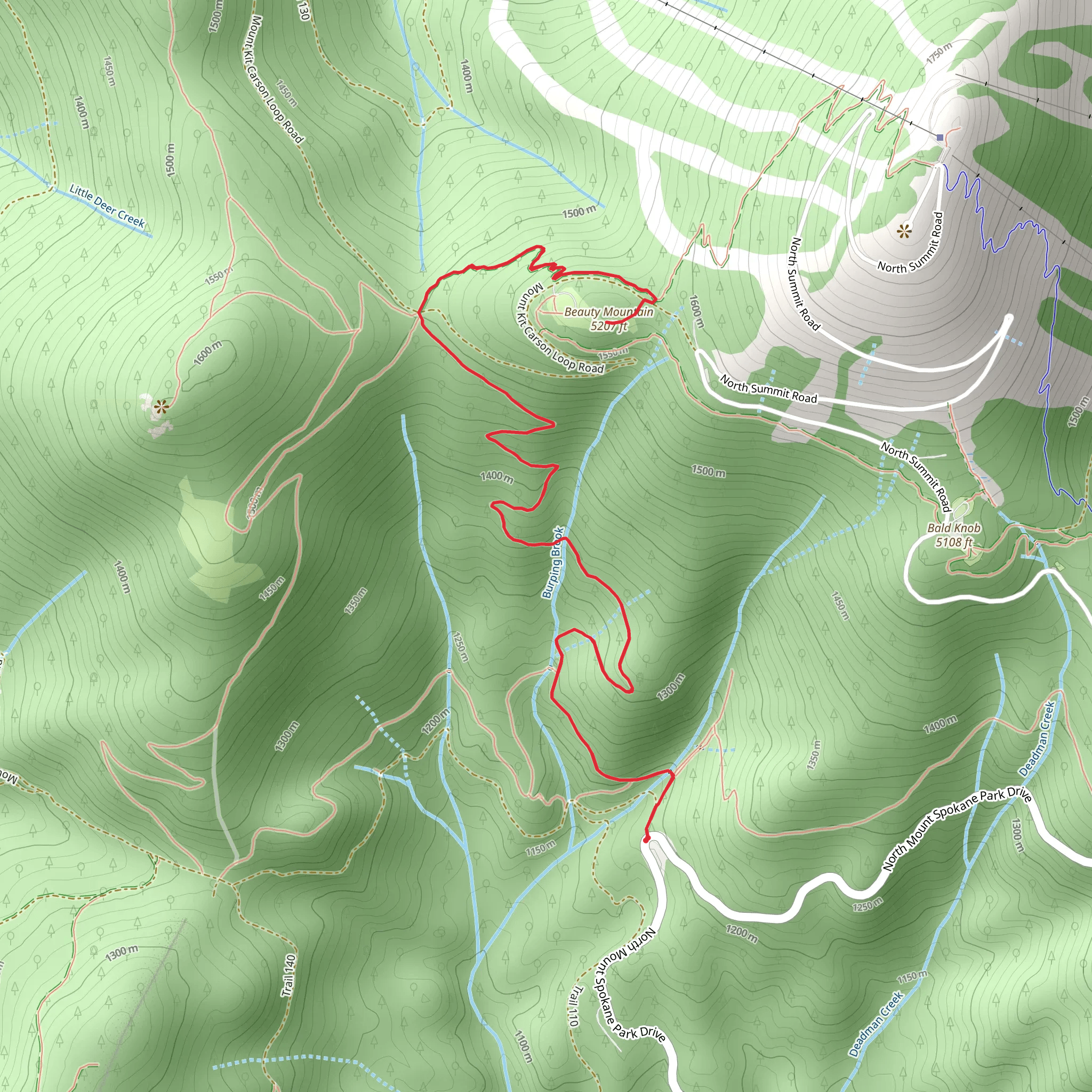 Beauty Mountain via Trail 110 mobile static map