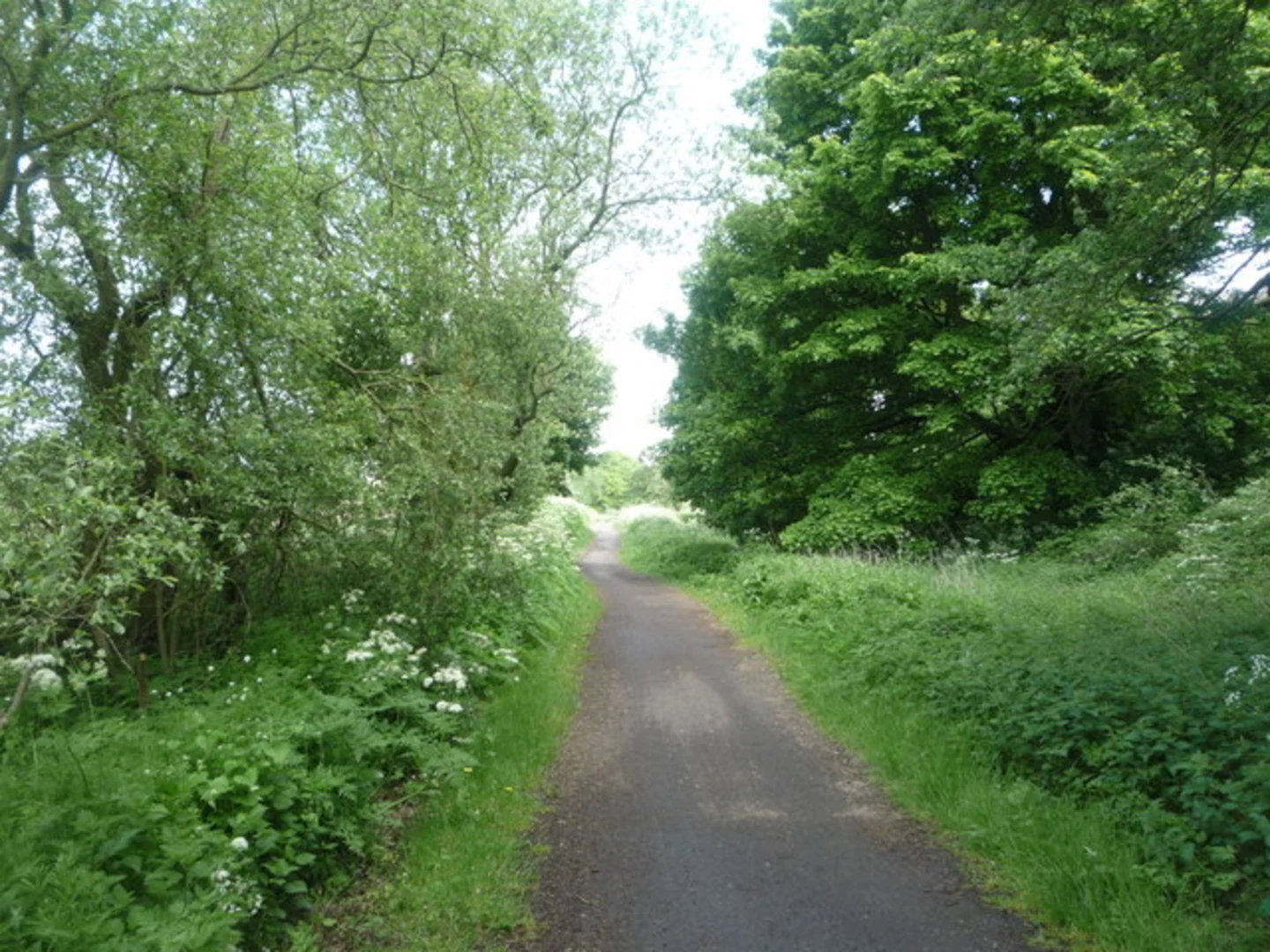 An image depicting the trail Waskerley Way Railway Path and its surrounding area.