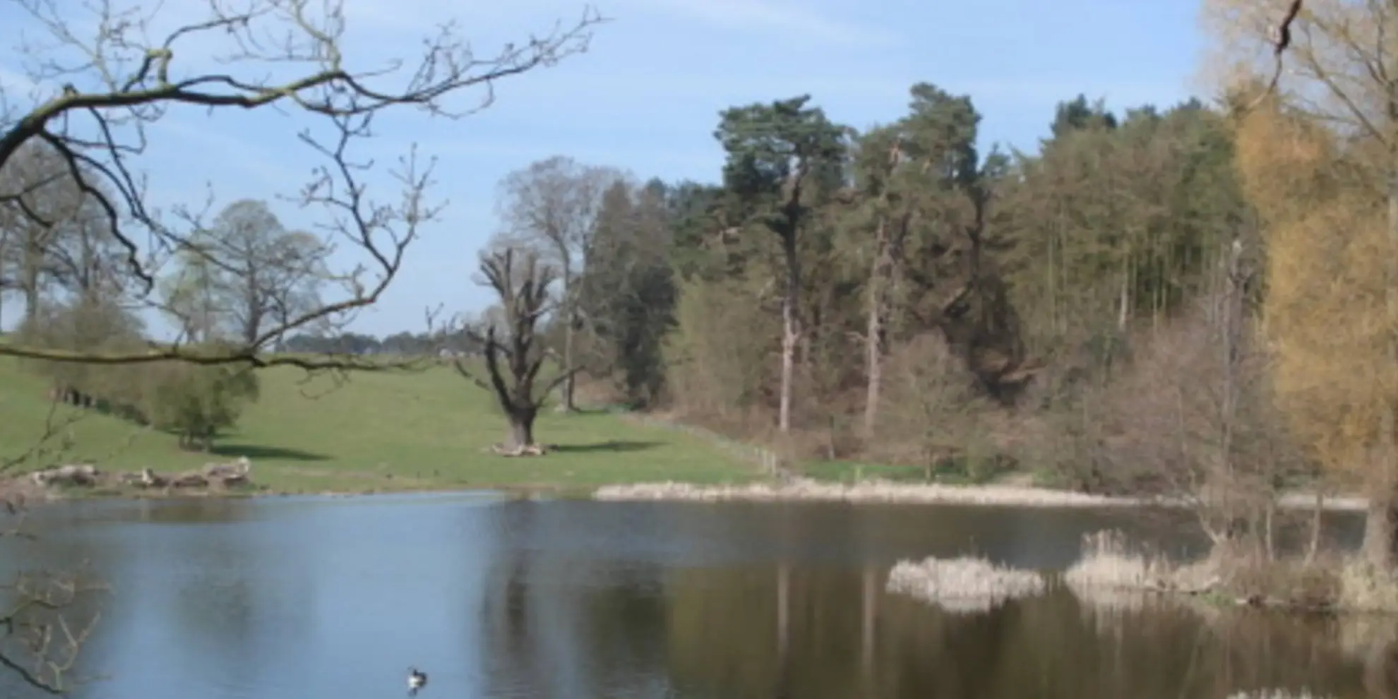 An image depicting the trail Three Pools Walk - Comer Woods and its surrounding area.