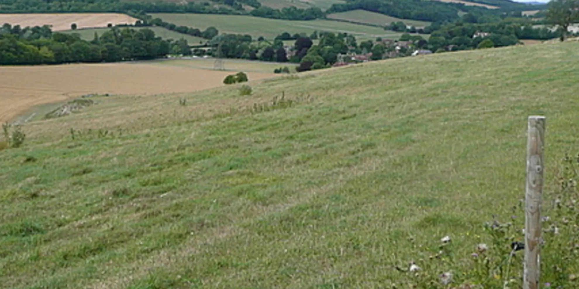 An image depicting the trail Levin Down Trail and its surrounding area.