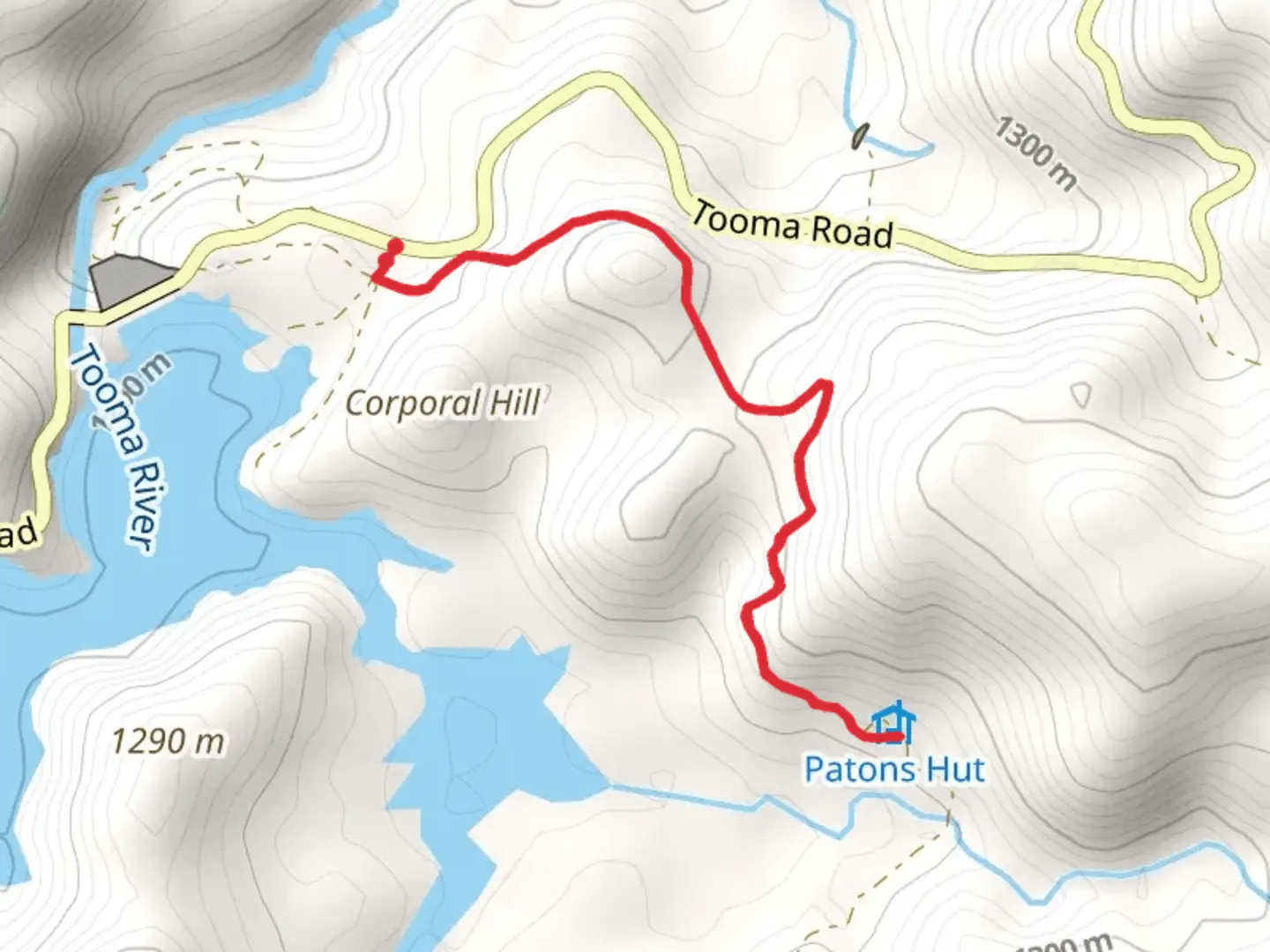 An image depicting the trail Patons Hut Track and its surrounding area.