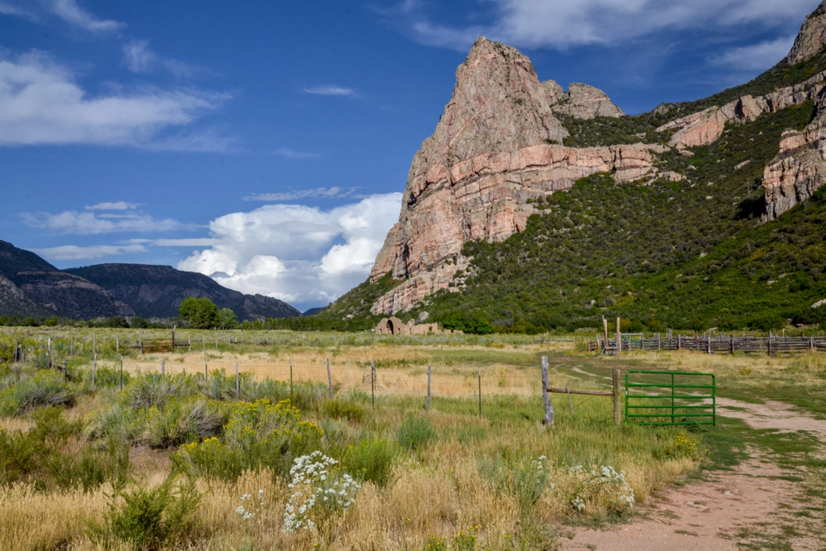 An image depicting the trail Corral Fork Trail via Little Creek Trail and its surrounding area.